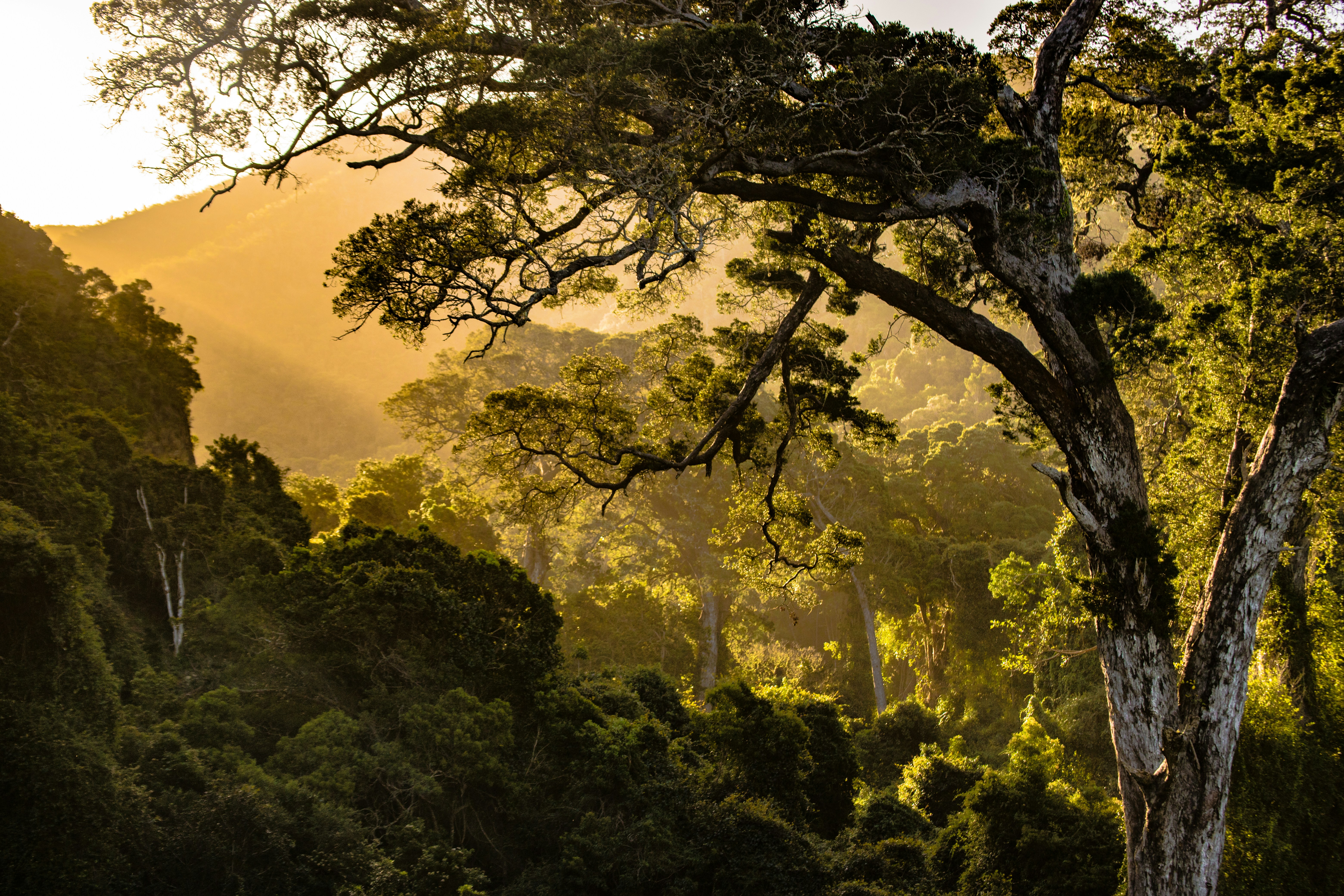 Restoring landscapes and livelihoods across East and Southern Africa