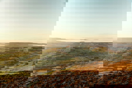 Church of England: Deforestation-free by 2025 – ambitious, but vital