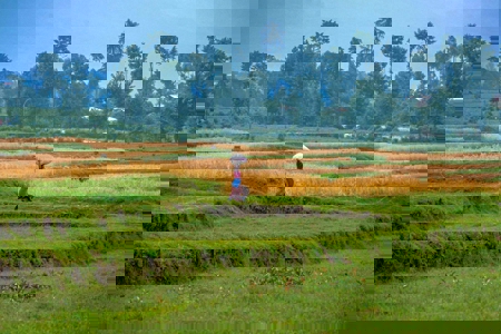 Rwanda fortified whole grains enhance nutrition security in schools