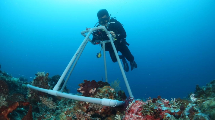 Race to Resilience_2.jpg