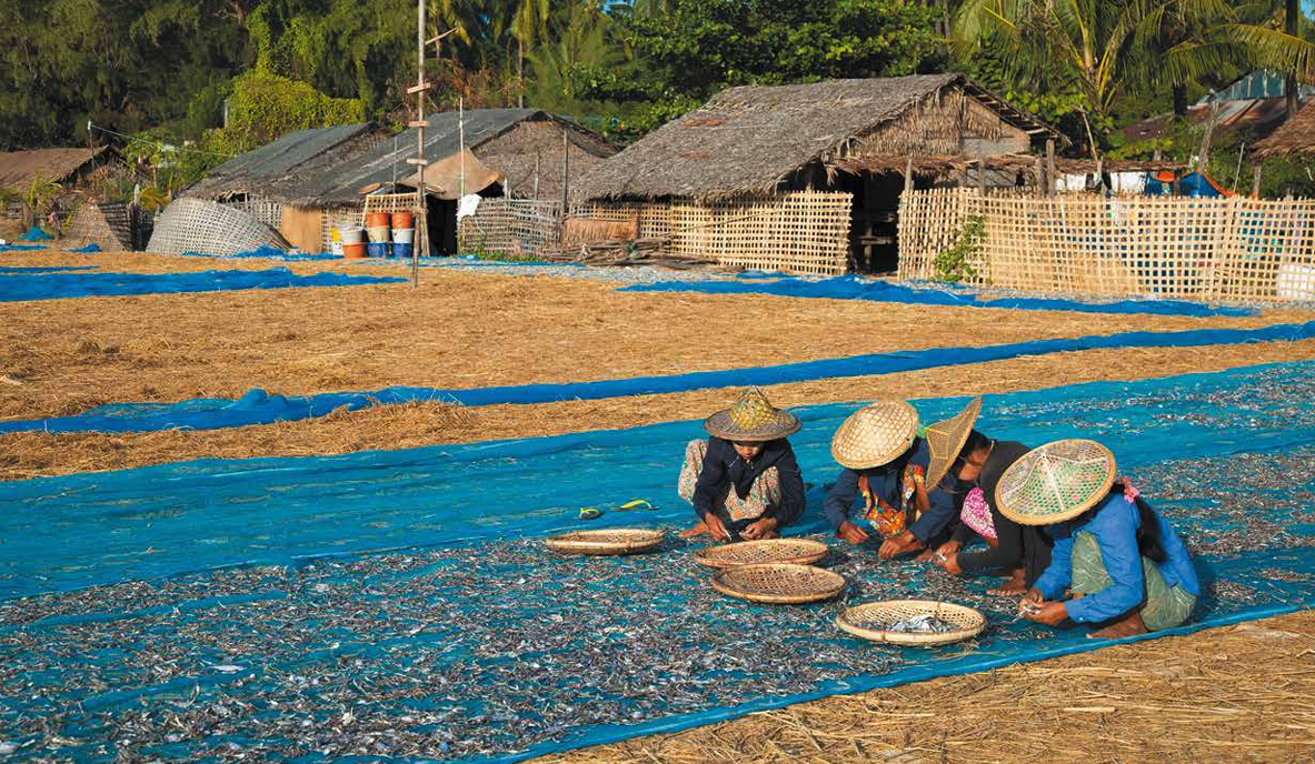 55 Stories of Change