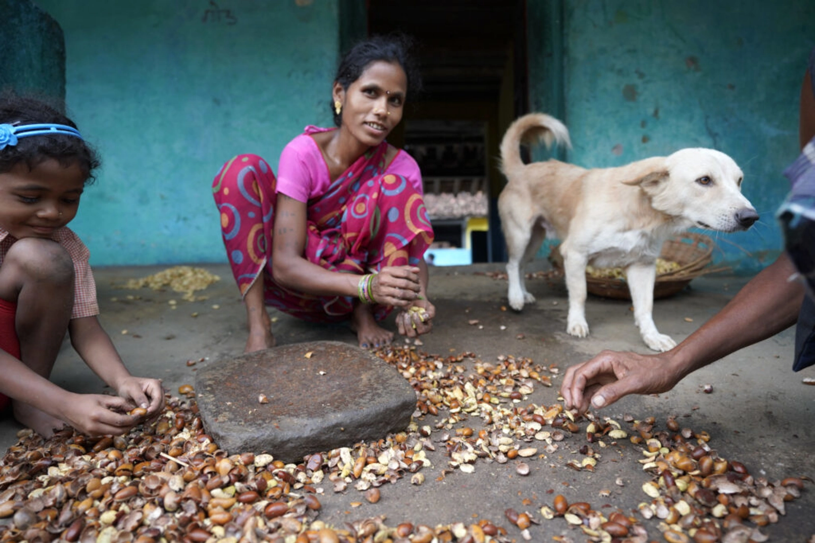 Members of the Gond tribe, breaking and flaking seeds to extract oil in a forest village in east-central India. Credit: Rohit Jain/Tenure Facility.
