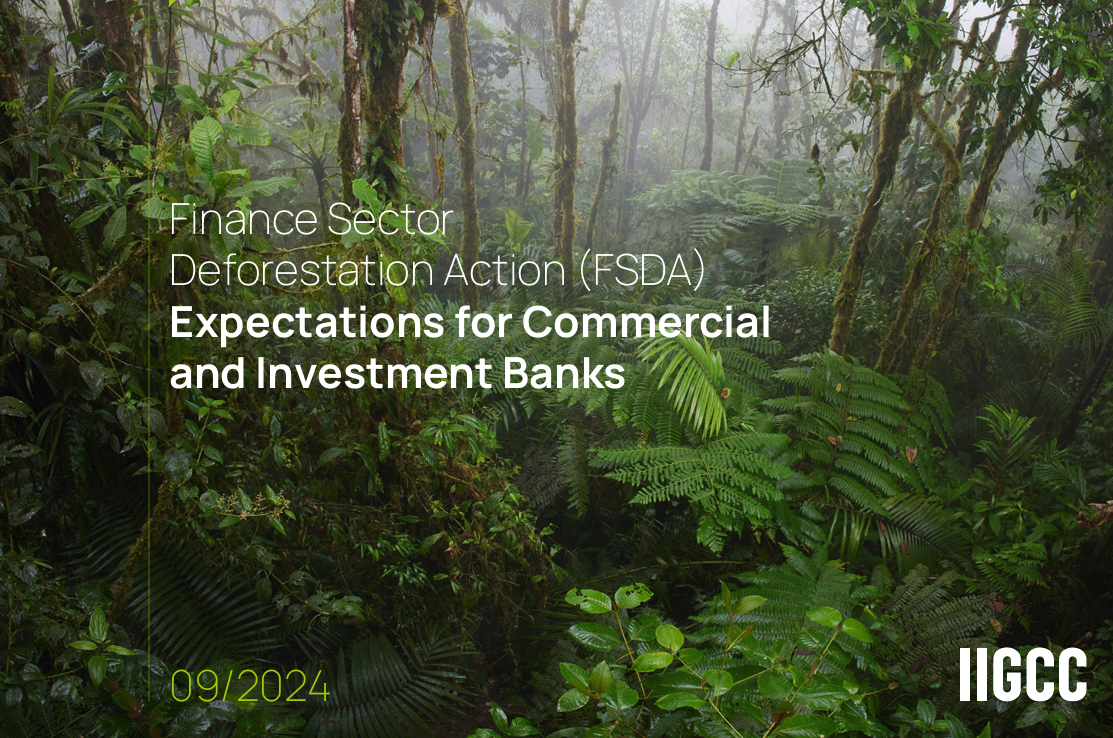 FSDA Expectations for Commercial and Investment Banks 
