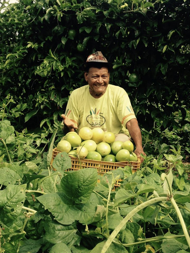 CAIANAS, an Indigenous-led association by families from the Cachoeirinha Indigenous Land in Miranda, Brazil.