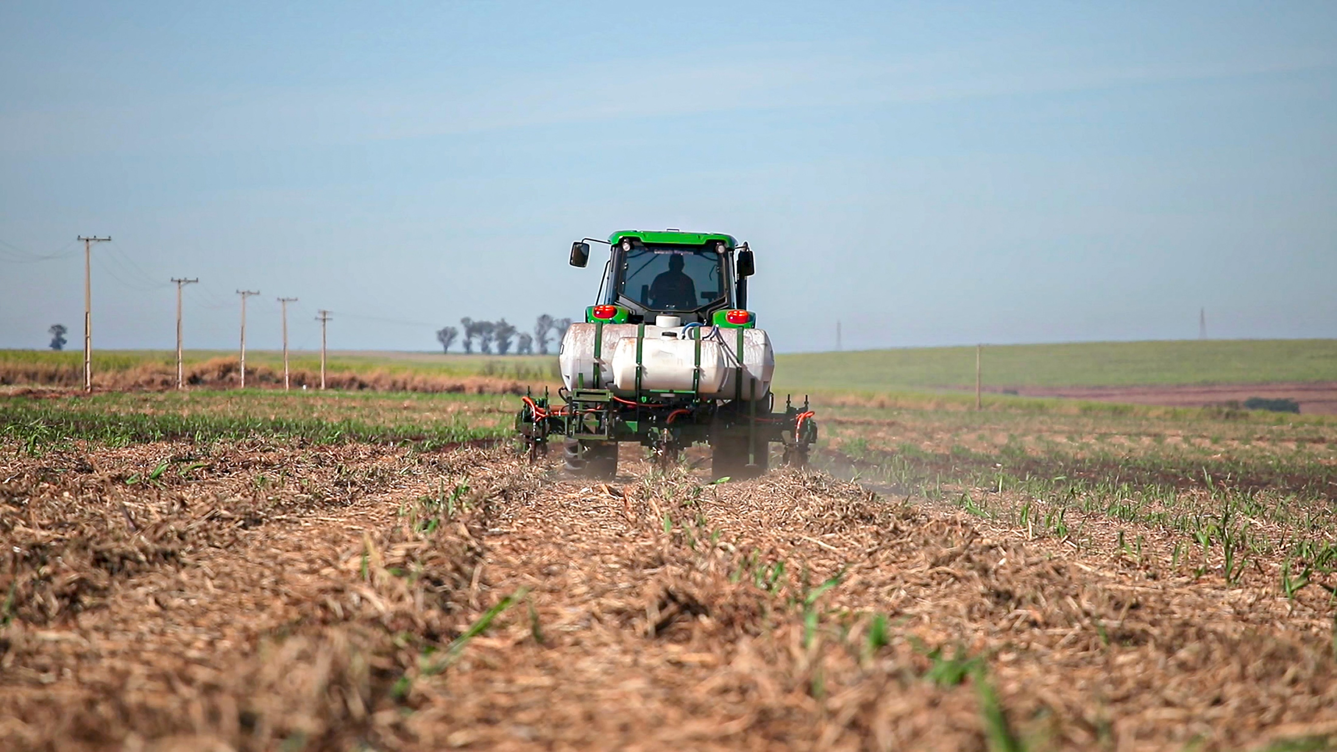 Biofuels in Emerging Markets of Latin America