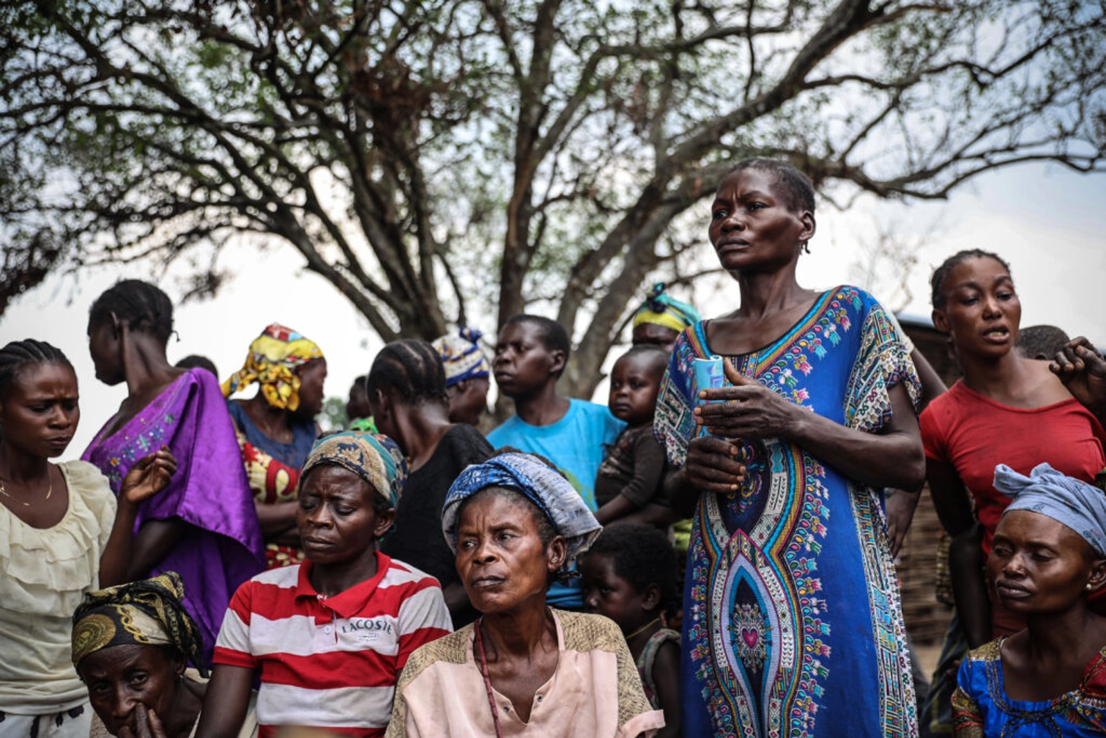 A group of women involved in the management of a local community forest concession and reforestation efforts in the southwest of the Democratic Republic of Congo. Ley Uwera/Tenure Facility.