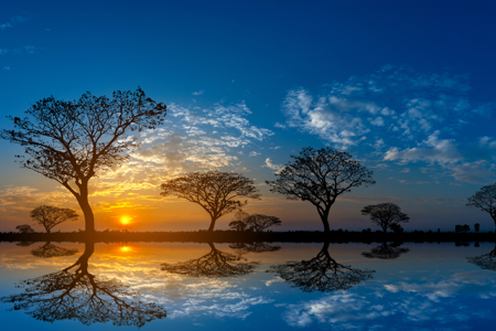 Setting the Stage for African Climate Leadership: A conversation with Bogolo Kenewendo