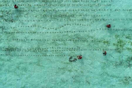 New report details growing role of regional climate solutions