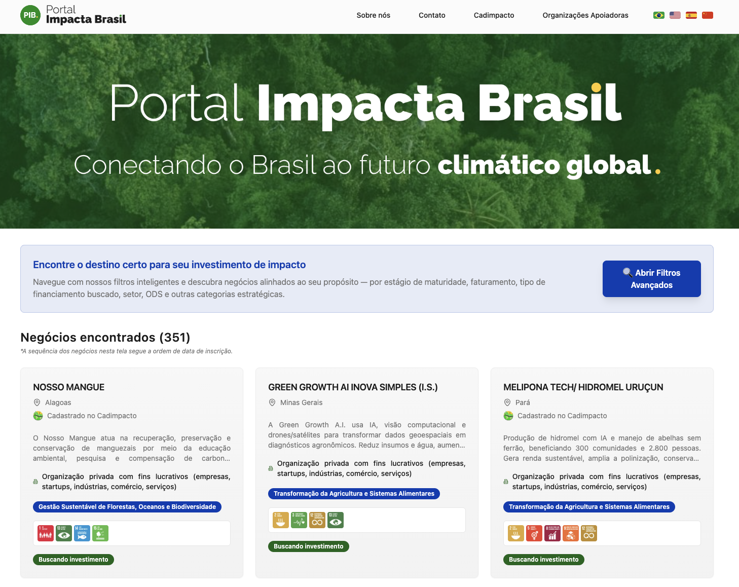 Impact Brazil Portal