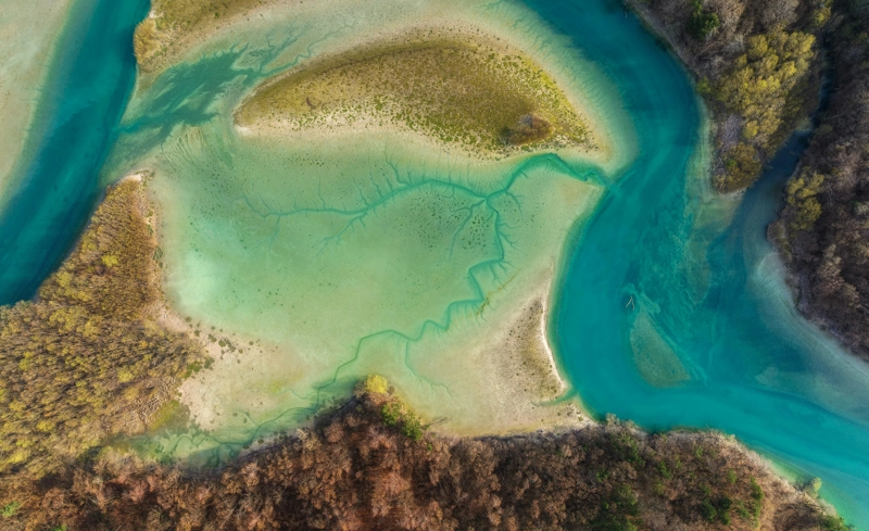 Nature Positive for Climate Action