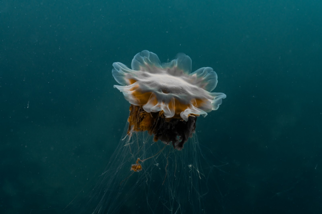 Climate-Proofing SMEs