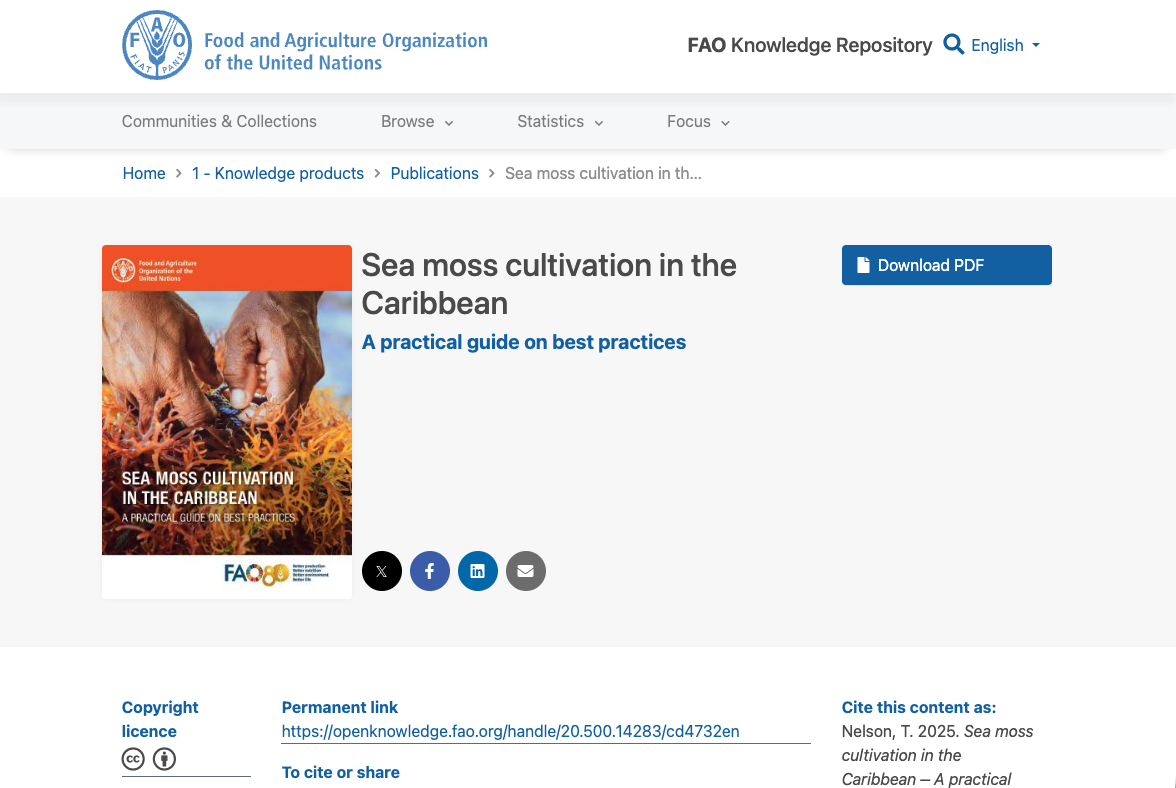 Sea moss cultivation in the Caribbean